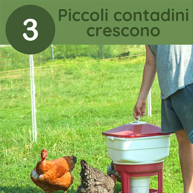 Vita di un fattore: dalla semina alla raccolta degli ortaggi e cura degli animali della fattoria
